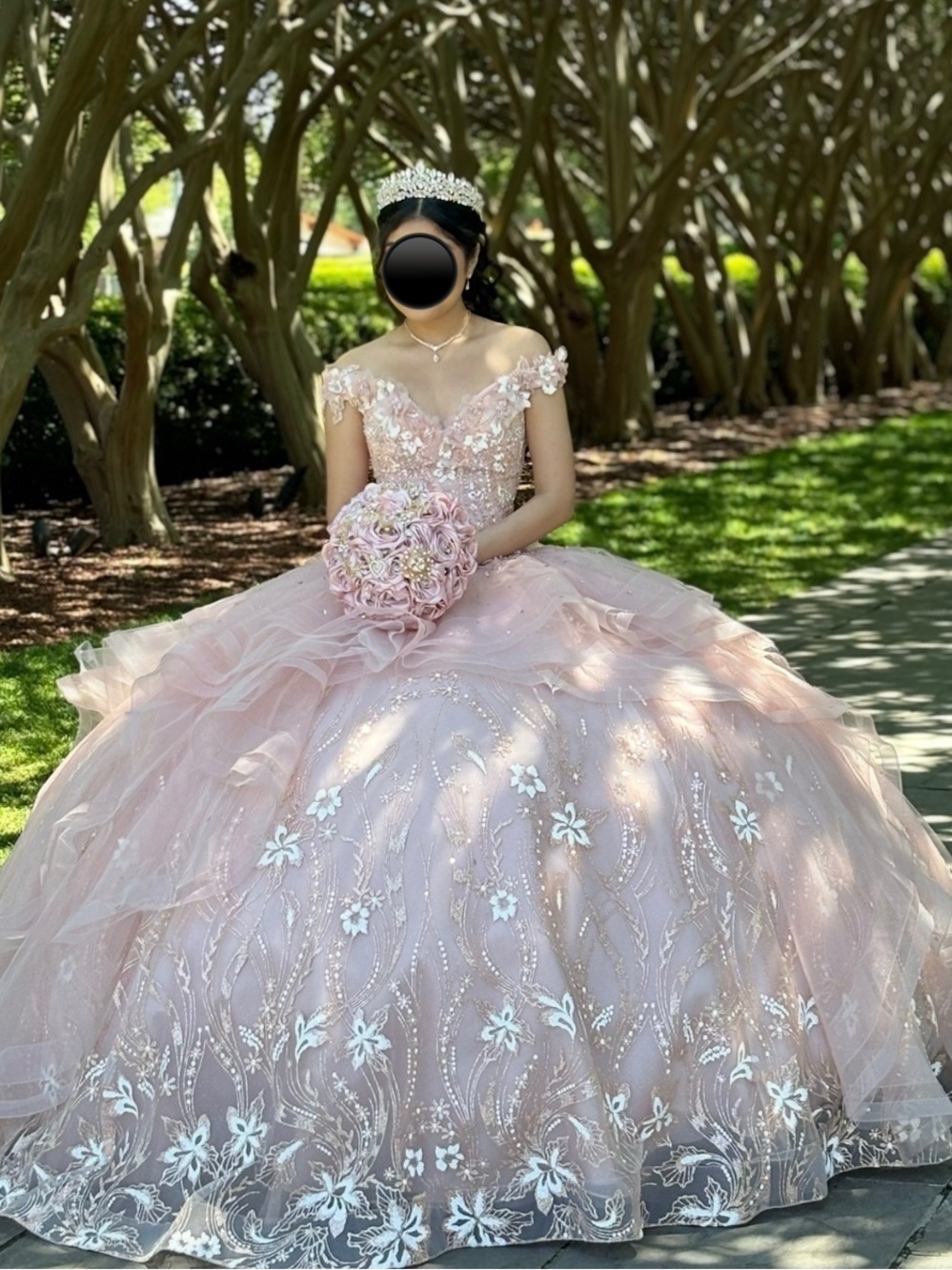 Blush Pink Floral Appliqué Ball Gown